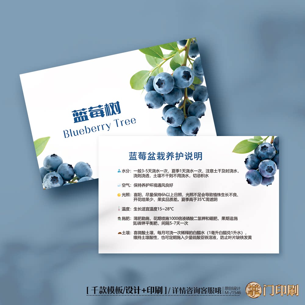 蓝莓树养护卡蓝莓树盆栽养护卡蓝莓树种植养殖卡片定制