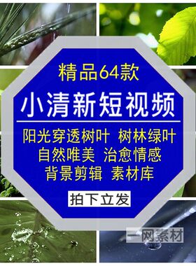 小清新短视频绿色叶阳光穿透树叶森林自然唯美景治愈背景剪辑素材