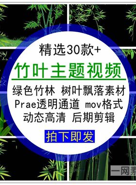 竹叶主题视频绿色竹子林树叶飘落透明通道4K高清背景后期合成素材