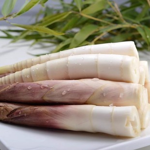 建瓯雷笋新鲜冬笋雷笋雷竹笋油焖笋野生现挖春笋腌笃笋新鲜蔬菜