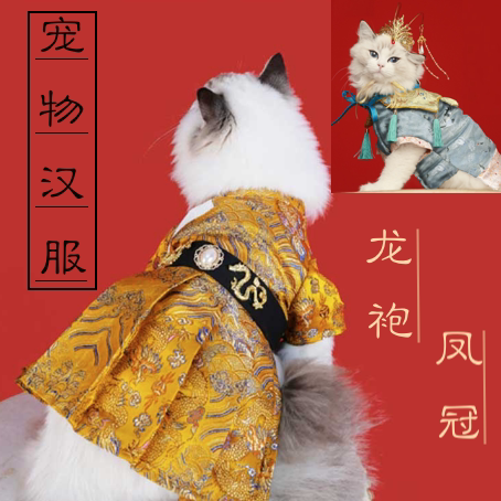 猫龙袍狗皇帝皇后装婚礼服唐装过年黄袍皇冠情侣明朝宠物汉服衣服