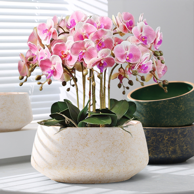 蝴蝶兰专用花盆陶瓷简约特大号