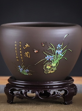 兰花专用花盆紫砂陶瓷吊兰蝴蝶兰