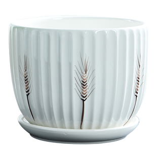 多肉植物花盆铺面石多肉土专用营养土绿植植物铺面石珍珠岩炭