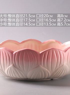 水仙花盆无孔水培陶瓷铜钱草睡莲