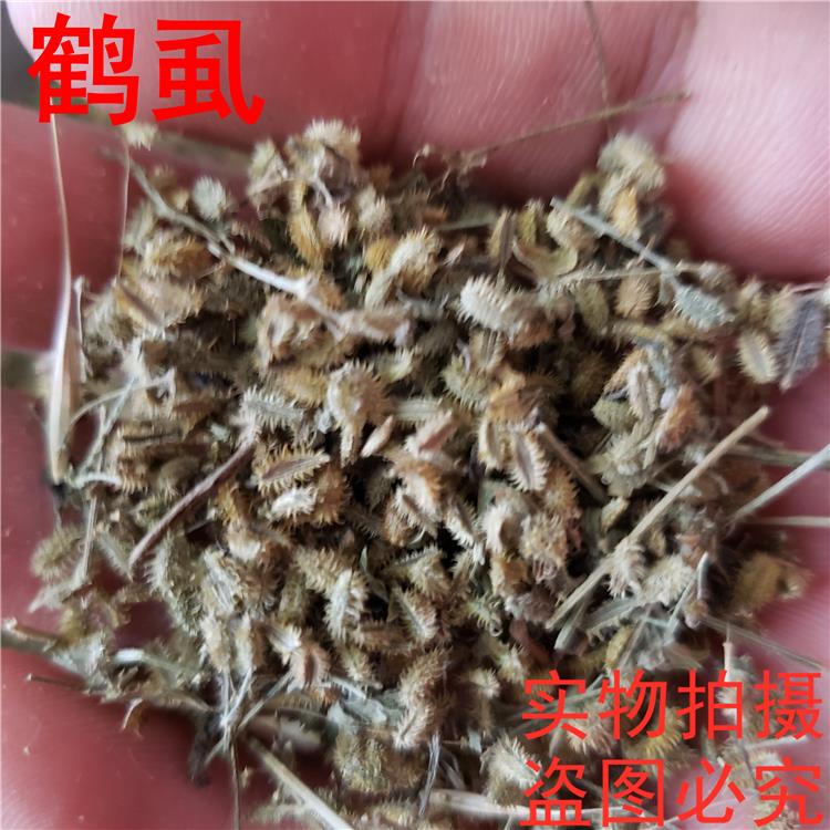 鹤虱 中药材 鹤虱草 虱子草 正品北鹄虱 鬼虱种子 500克