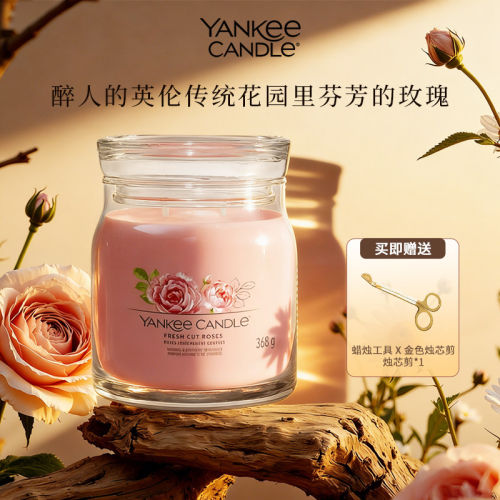 Yankee Candle杨基香薰蜡烛持久天然香氛照明装送礼物