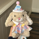 适用于jellycat1315yummy美味兔娃衣服15cm甜美企鹅鸭子小鼠帽子