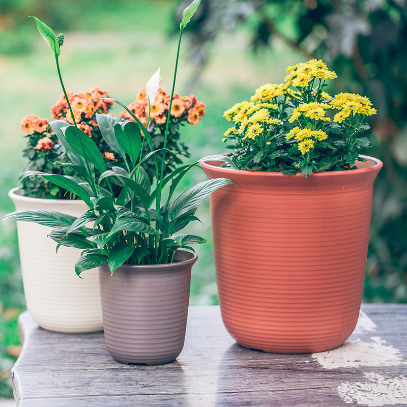 爱丽丝花盆带托盘加深高款仿陶瓷大号爱丽思深型树脂月季长钵花盆