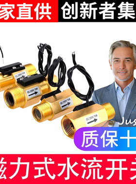 水流感应开关DN15气流水流量传感器4分6分DN20全铜磁力式水流开关