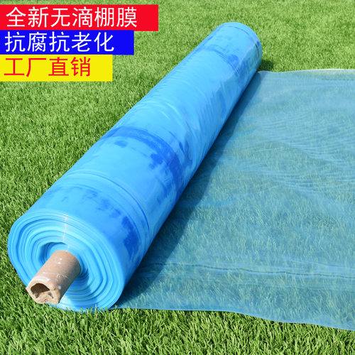 蓝色大棚膜塑料布透明薄膜农用