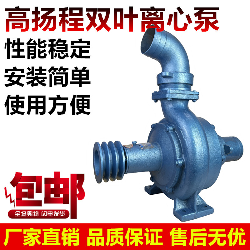 高扬程大流量双叶轮离心式水泵大马力果园农田灌溉喷灌抽水离心泵