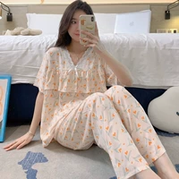 TZ07-512 FAN XIAOHUA