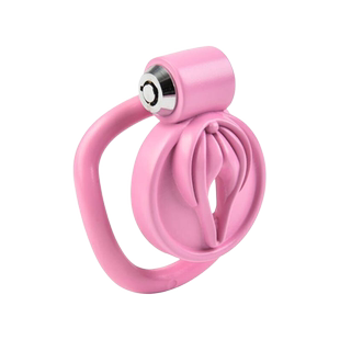 负数贞操锁伪娘锁平板锁男娘锁外出佩戴cb锁隐形穿戴贞操带男用锁