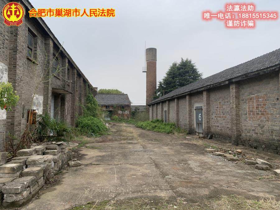 1月29日合肥工业房地产、附属物、构筑物及苗木网络拍卖公告