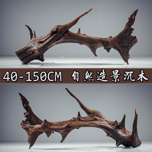 沉木造景鱼缸紫柚蜥蜴乌龟晒台