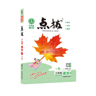 2026春季新书点拨六年级下册语文配人教版同步教材自学讲解