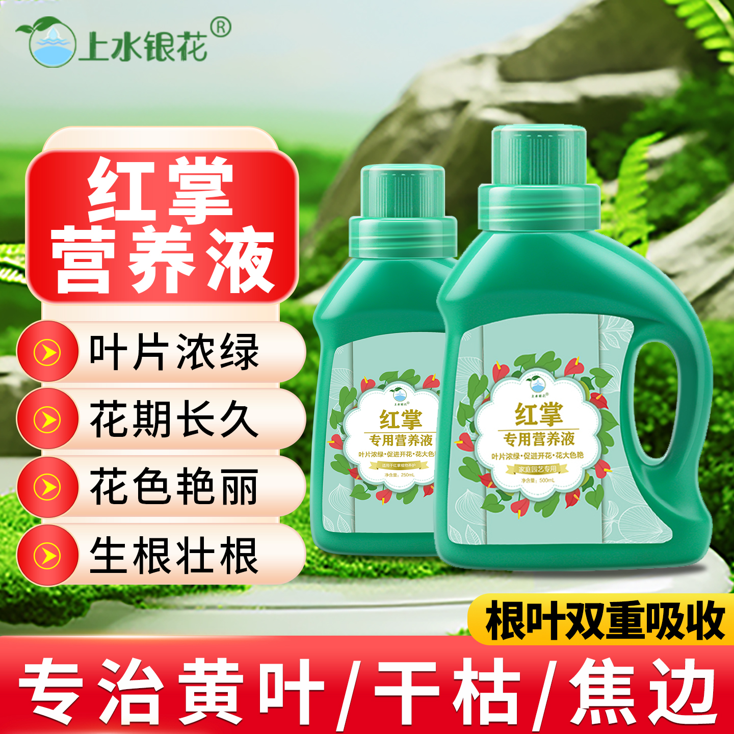 红掌专用肥料白掌一帆风顺红掌专用营养液土培盆栽粉掌火鹤花肥