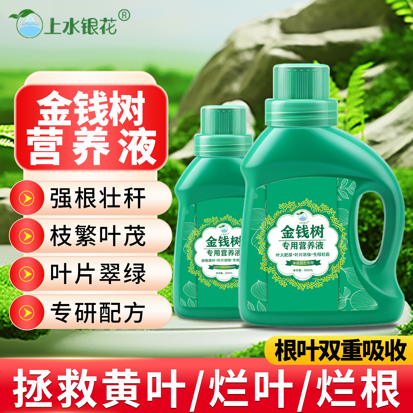 喜酸植物营养液金钱树营养液黄叶烂根不生长金钱树养料养树促生长