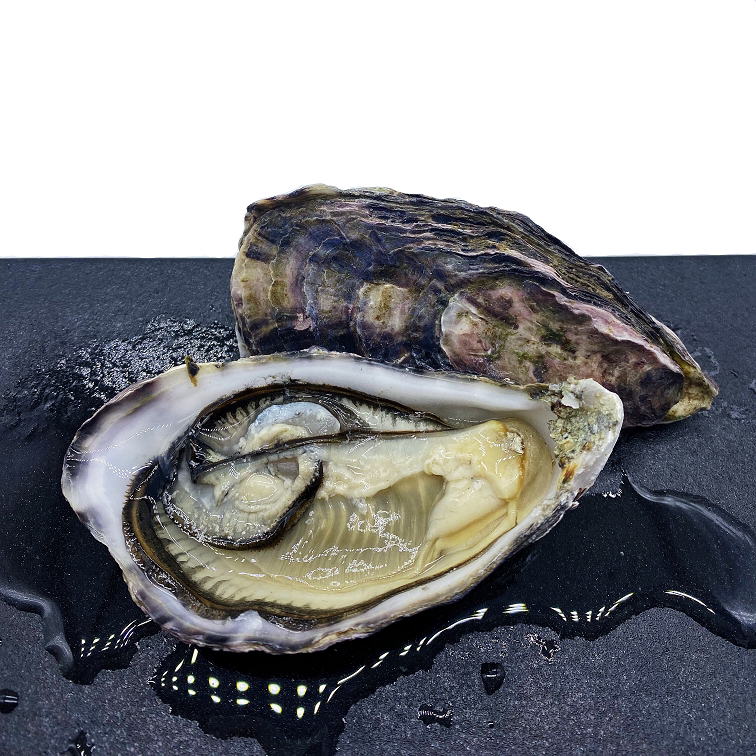 新西兰空运马尔伯勒活生蚝非吉拉朵牡蛎非吉拉多即食刺身五只起发