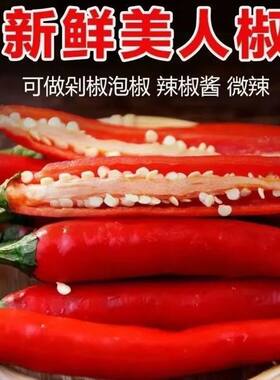 新鲜红辣椒美人椒微辣红辣椒小辣椒剁椒泡椒辣椒非小米椒