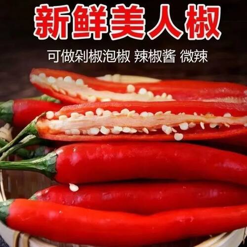 新鲜红辣椒美人椒微辣红辣椒小辣椒剁椒泡椒辣椒非小米椒