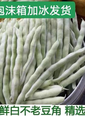 新鲜白不老四季豆白芸豆云豆现摘蔬菜刀豆豆角白大架云南高山种植