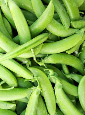 【现摘现发】云南新鲜甜豆农家自家种植脆甜新鲜嫩碗豆带壳食用