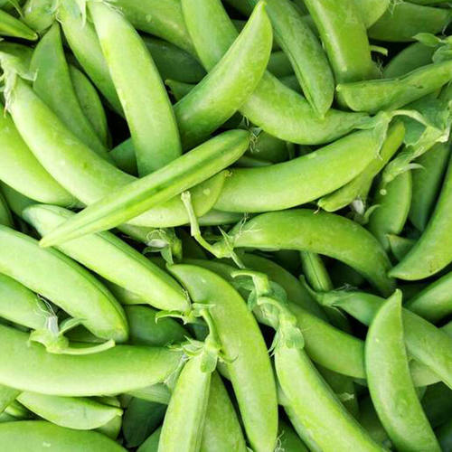 【现摘现发】云南新鲜甜豆农家自家种植脆甜新鲜嫩碗豆带壳食用 - 封面