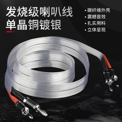 AudioXSOCC发烧级HIFI喇叭线