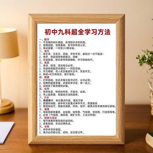 初中九科学习方法摆件座右铭相框