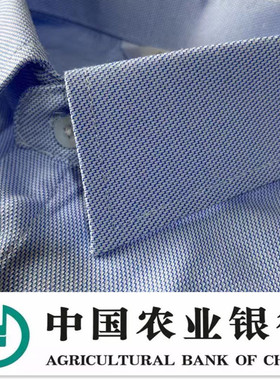 衬衫假领子农业银行员工衬衣领职业装尖领免熨烫好清洗毛衣装饰领