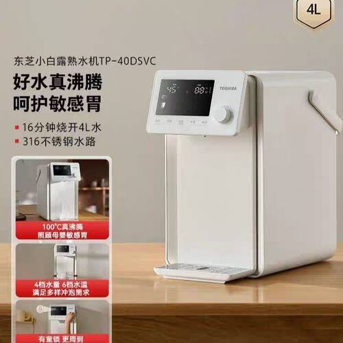 Toshiba/东芝 TP-40DSVC