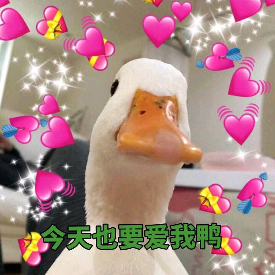 趴趴雅思产品佛脚包/精学宝/文国外考试英语