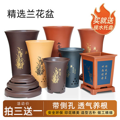 塑料简约经济实惠李哥说兰花花盆