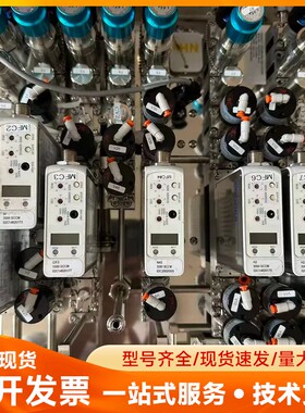 BROOKS流量计GF125CXXC，型号GF125C-10