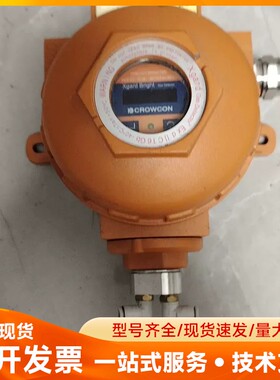 CROWCON Xgard Bright气体检测仪，型号ET