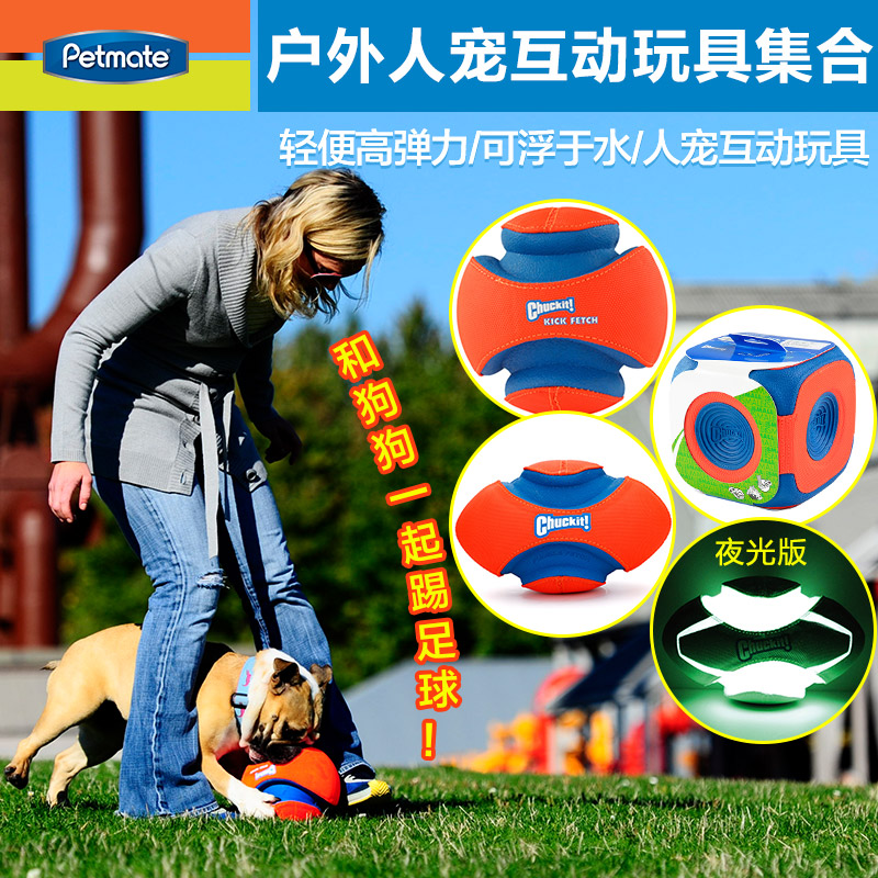 Petmate边牧小型犬宠物夜光