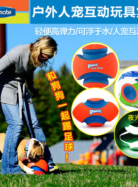 Petmate 边牧CHUCKIT大小型犬训练狗球宠物足球夜光橄榄球 狗玩具