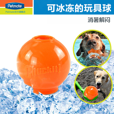 petmate进口灌水结冰宠物冰球耐玩散热凉爽拉布拉多边牧狗玩具