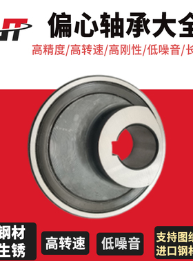 减速机整体偏心轴承 80752305 130752305 400752305 550752305 K