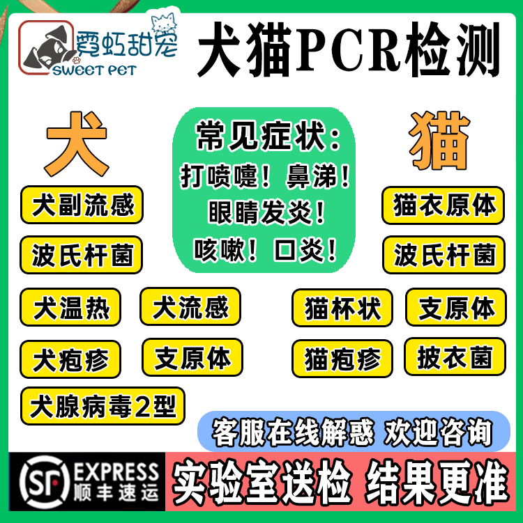 犬猫核酸PCR呼吸道检测居家猫鼻支疱疹杯状猫瘟犬瘟消化道杯状