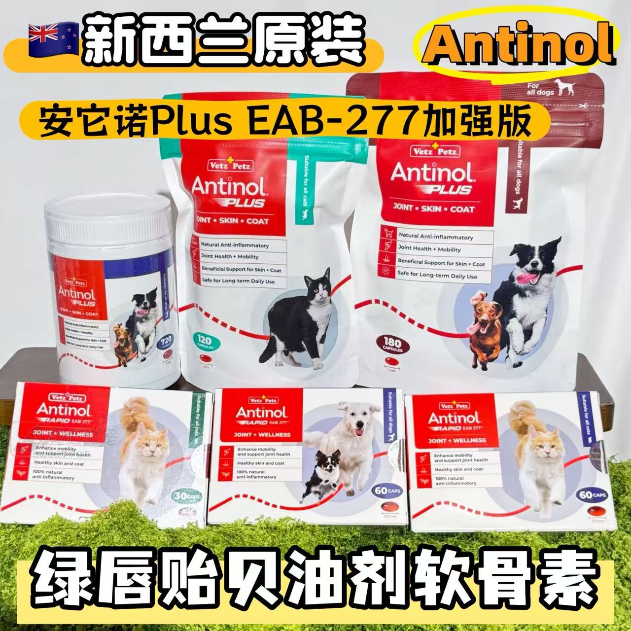现货新西兰Antinol安它诺犬猫狗用关节软骨素关节绿唇贻贝油277版