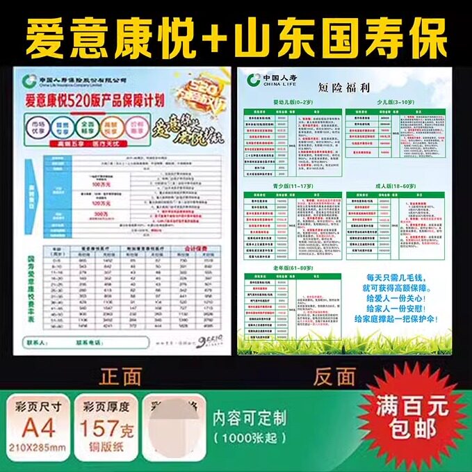 中国人寿国寿爱意康悦+山东国寿保彩页宣传单广告单页