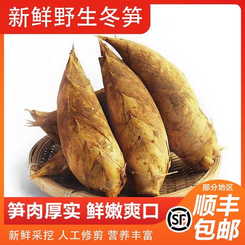 临安特产野生冬笋新鲜现挖现发冬笋杭州冬笋产地直发煲汤清炒笋子