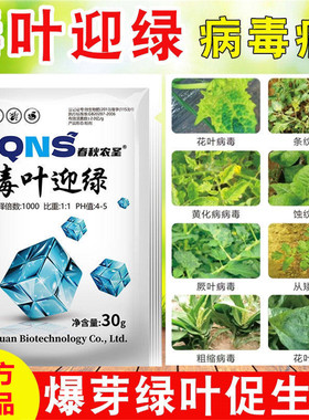 毒叶迎绿病毒病杀菌叶面肥促生长