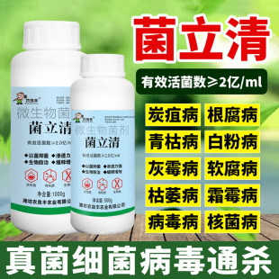 菌立清微生物菌剂农用杀菌剂真菌细菌霜霉病白粉病软腐锈病叶面肥
