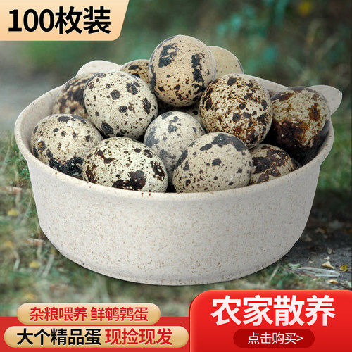 山东包邮200农家鹌鹑蛋新鲜杂粮