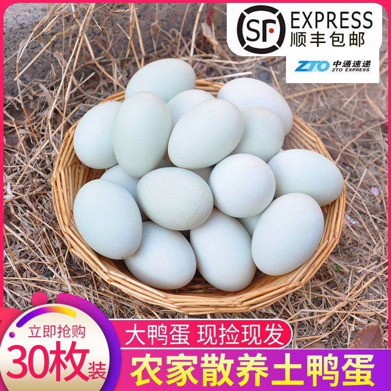 新鲜绿壳鸭蛋 农家散养土鸭蛋生态麻鸭蛋草麻鸭蛋30枚正宗青壳皮