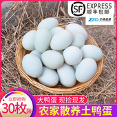 新鲜绿壳鸭蛋 农家散养土鸭蛋生态麻鸭蛋草麻鸭蛋30枚正宗青壳皮